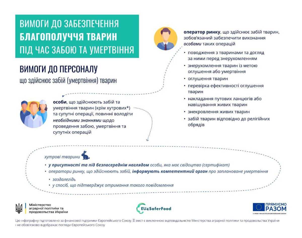 Мінагрополітики затвердило Вимоги до забезпечення благополуччя тварин під час забою та умертвіння