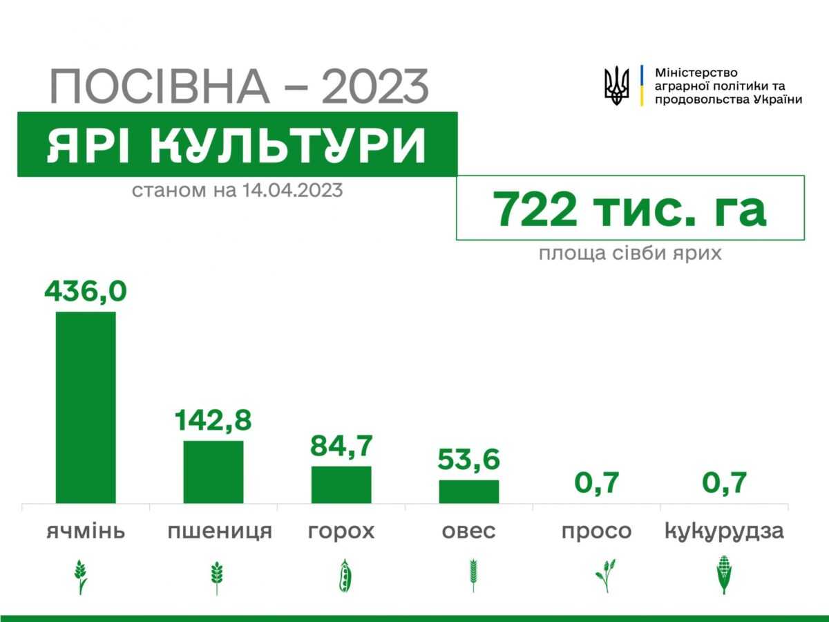 В Україні посіяно перші гектари кукурудзи