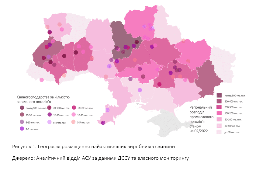 Стали відомі лідери серед промислових свиногосподарств України