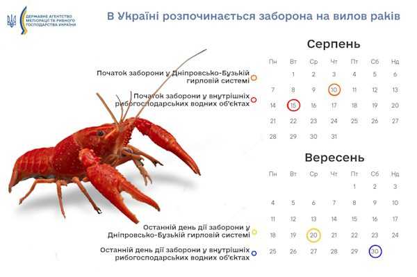 В Україні від 10 серпня до 30 вересня встановили заборону на вилов раків