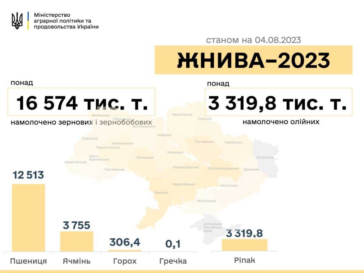 Почали збирати гречку: в Україні тривають жнива-2023