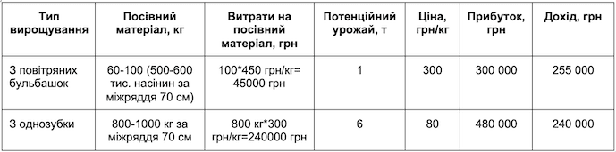 З одного гектару часник може забезпечити до 300 тисяч грн прибутку