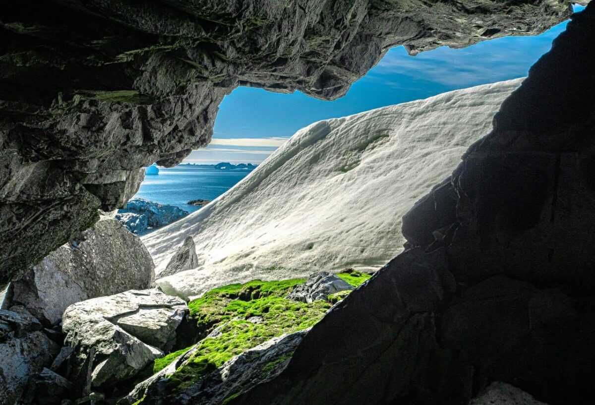 Полярники показали "зелене" літо в Антарктиді (фото)