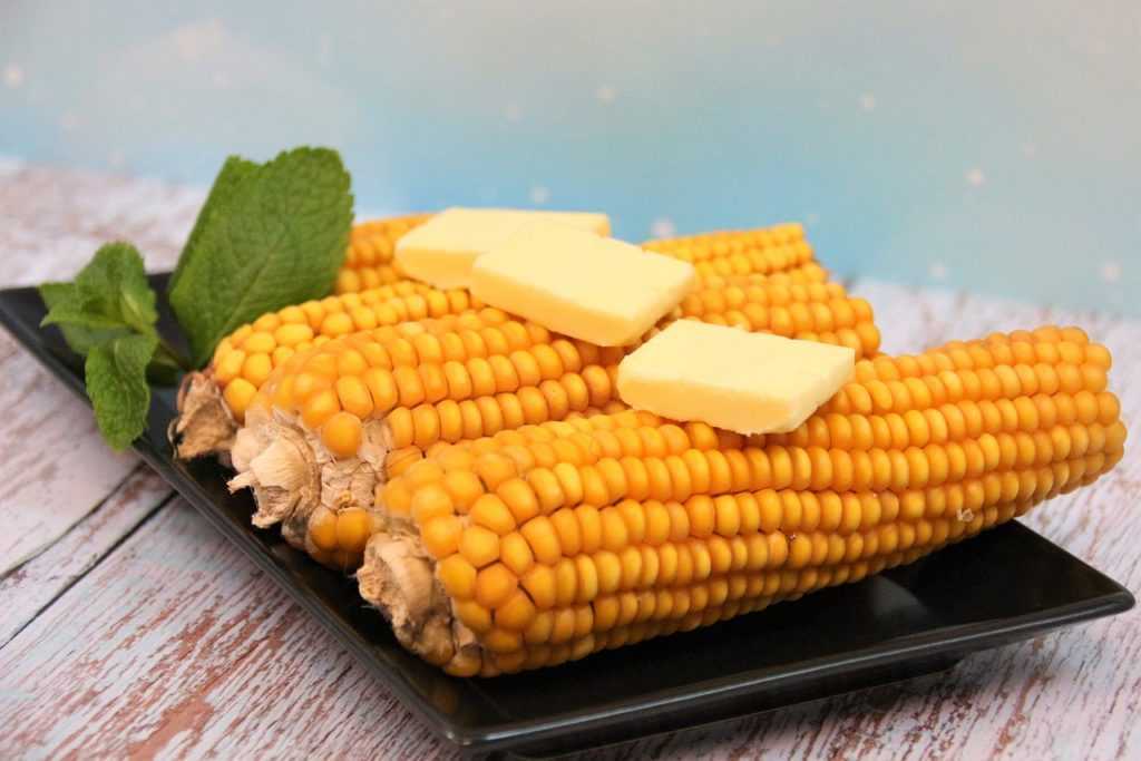 corn 5049970 1280 1024x683