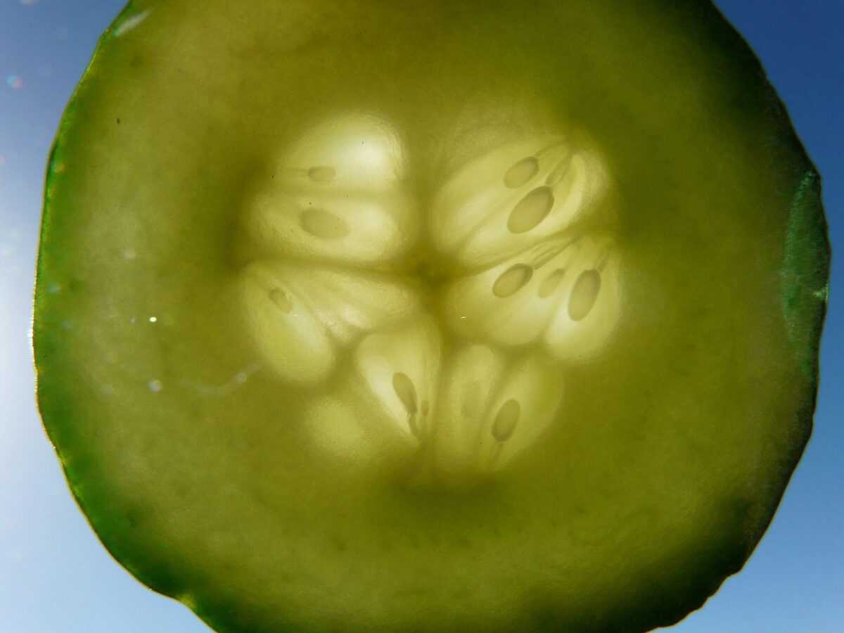 cucumber 62508 1280