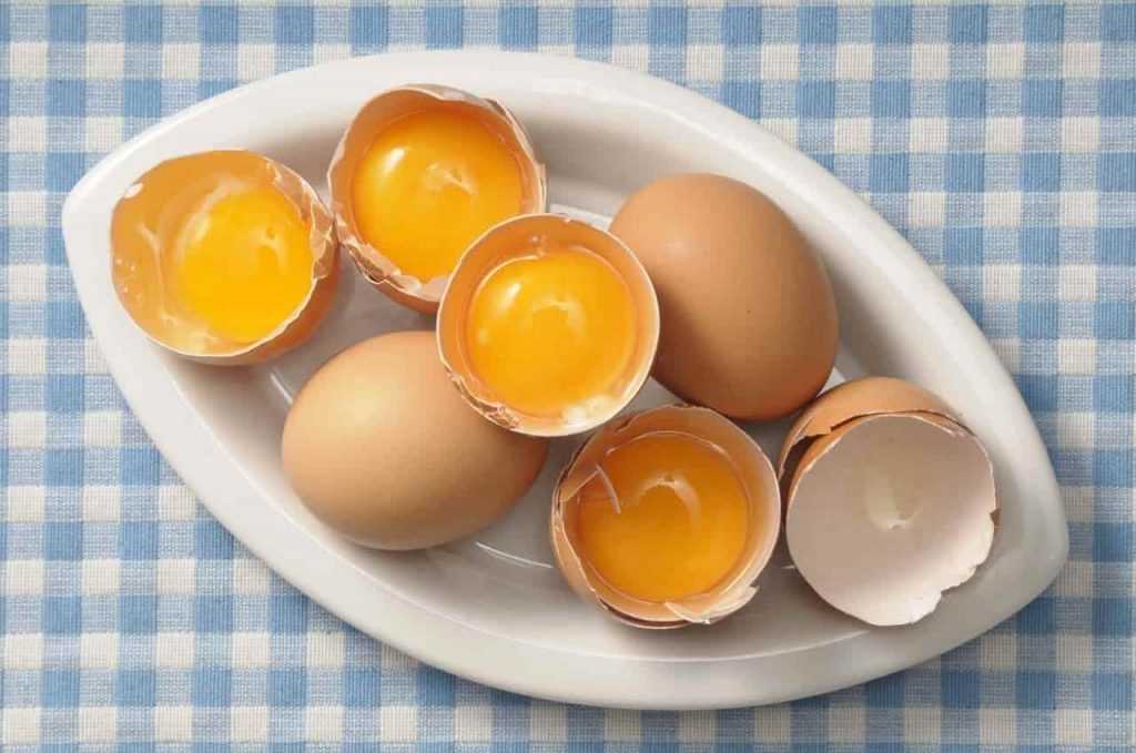0c25a69e17e1e9d0e7a6346258c36068 1 1024x679