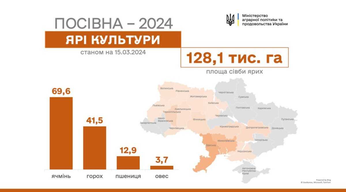 2024 03 15 13 23 11