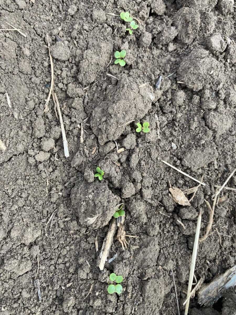 420184615 1634234414047373 7829308604564475854 n