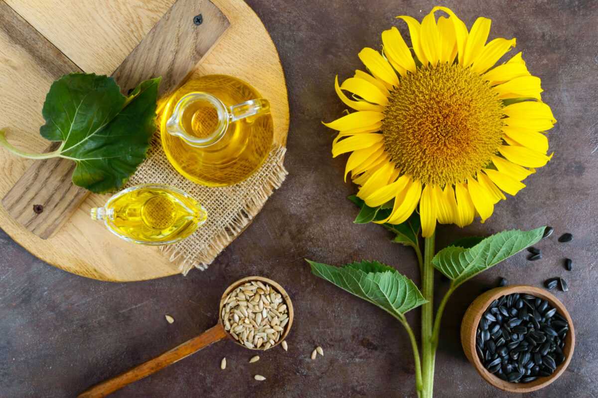 a large sunflower a bottle of oil seeds on the t 2022 06 01 22 47 39 utc scaled
