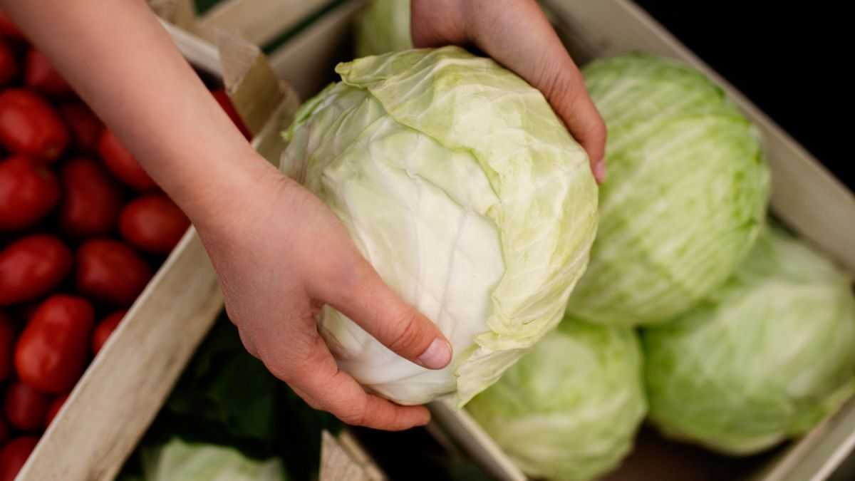 close up on delicious organic cabbage 1200x675