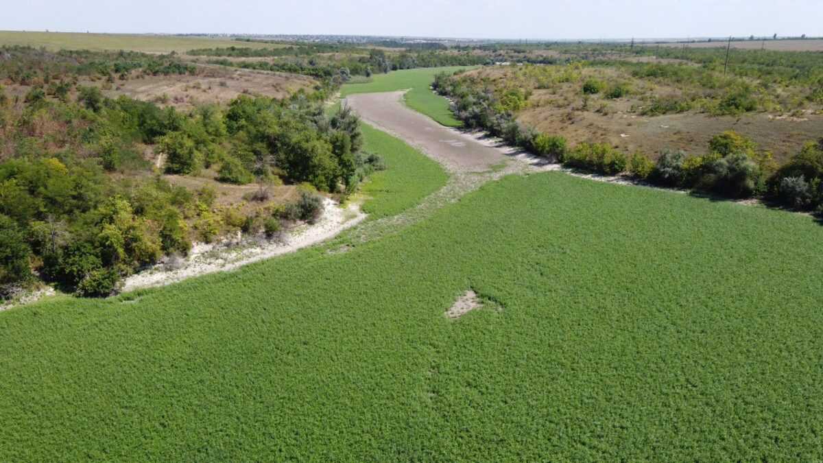 Дно колишнього Каховського водосховища