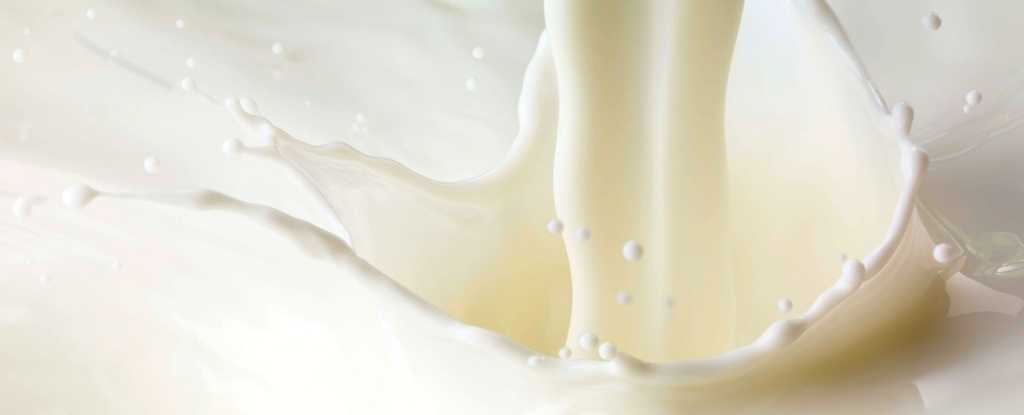MilkLiquidPouring