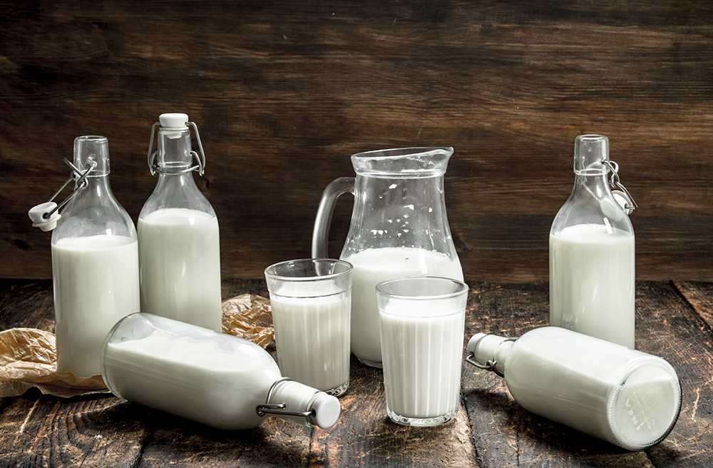 Fresh cow's milk