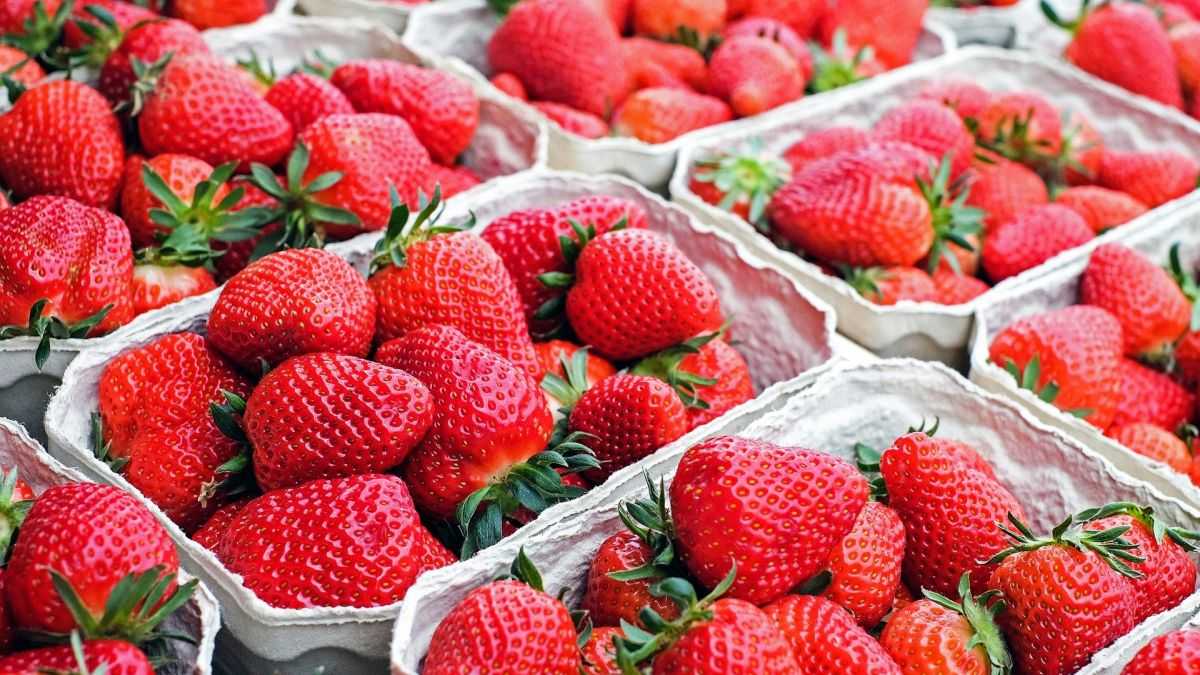 strawberries 1350482 1920 1200x675