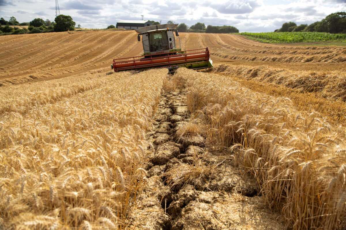 220804144911 06 ukraine unblocked grain
