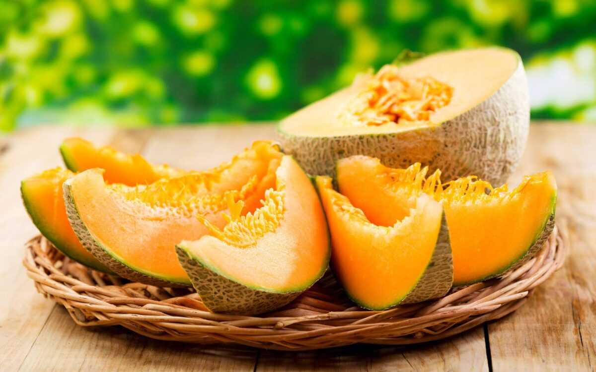cantaloupe melon 0