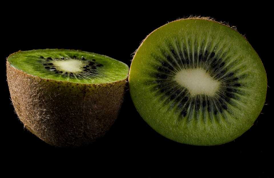 kiwi 1432088 960 720