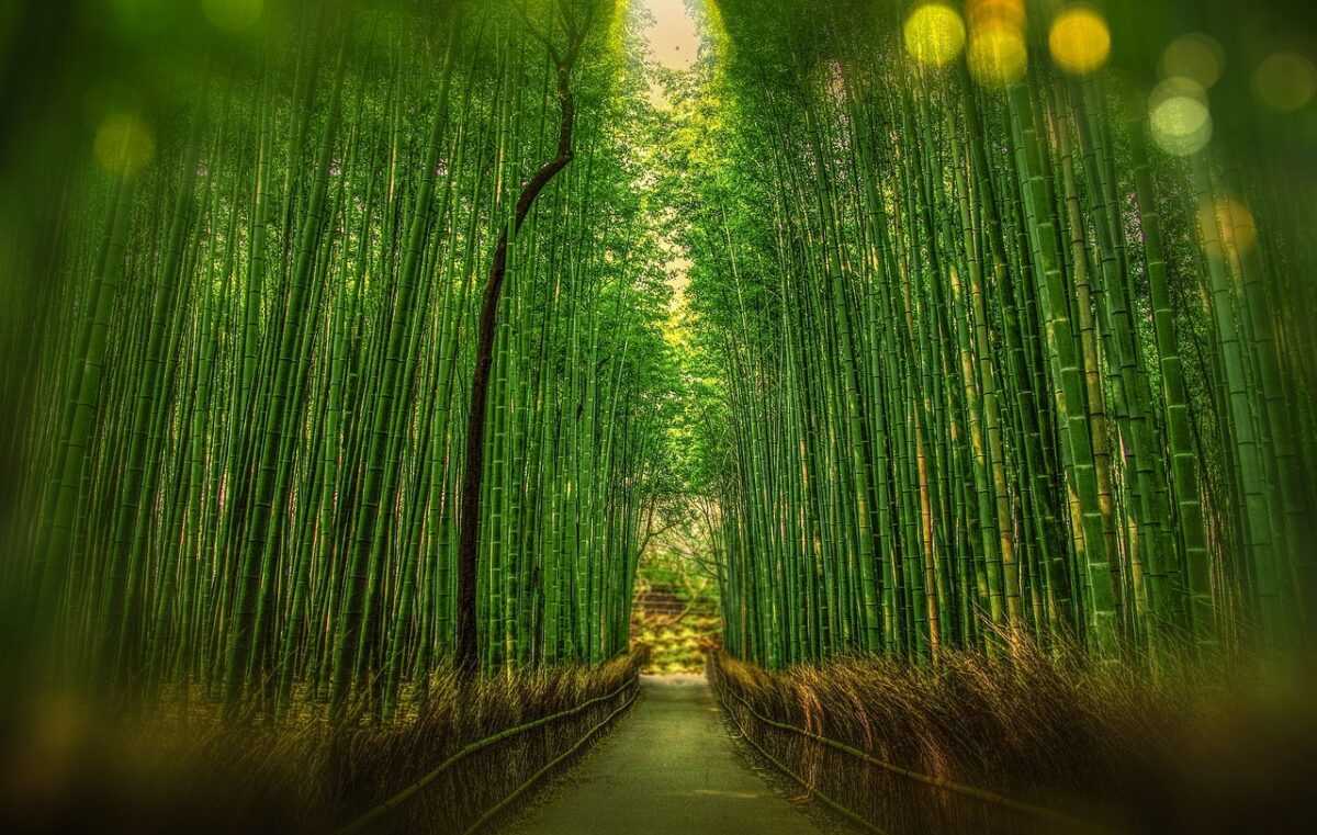 kyoto 1860521 1280