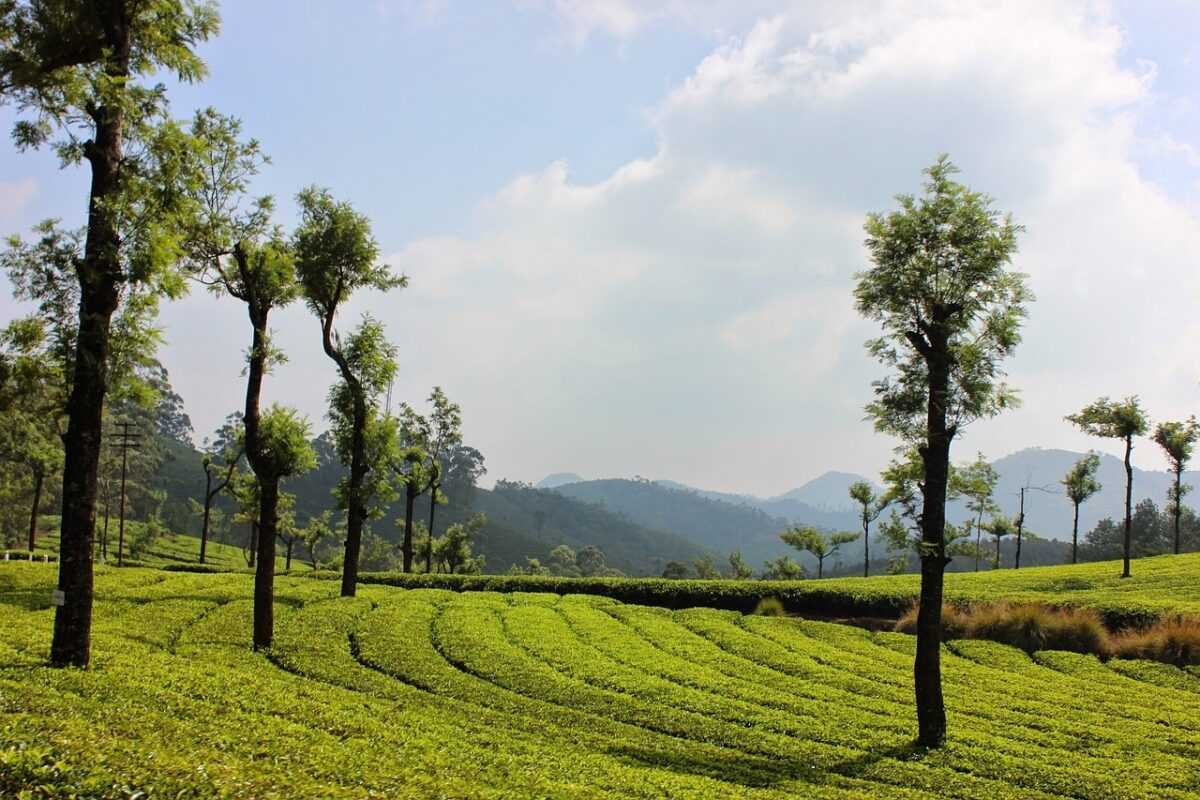 landscape 3080146 1280
