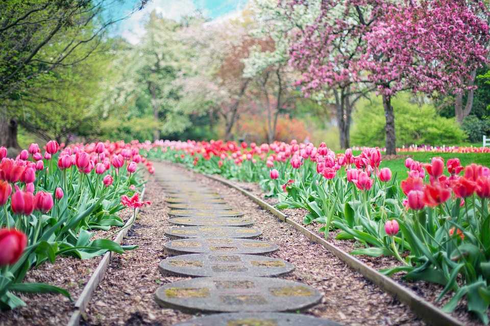 pathway 2289978 960 720