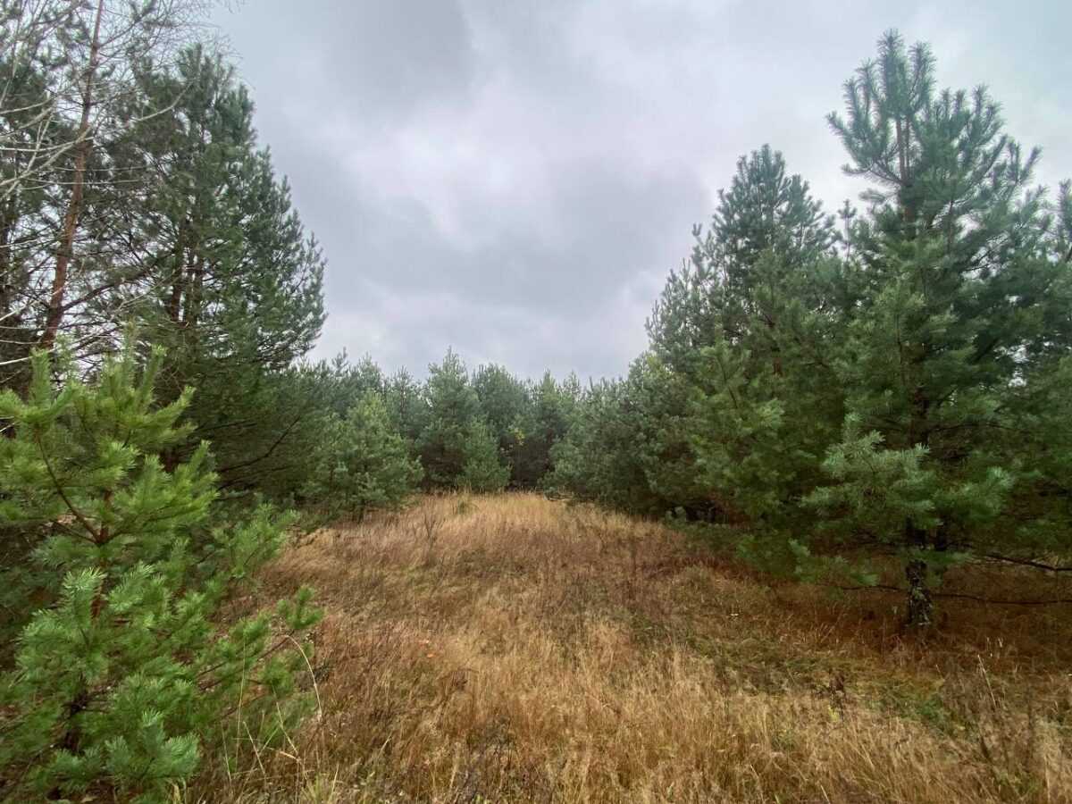 photo 2024 03 13 16 21 37