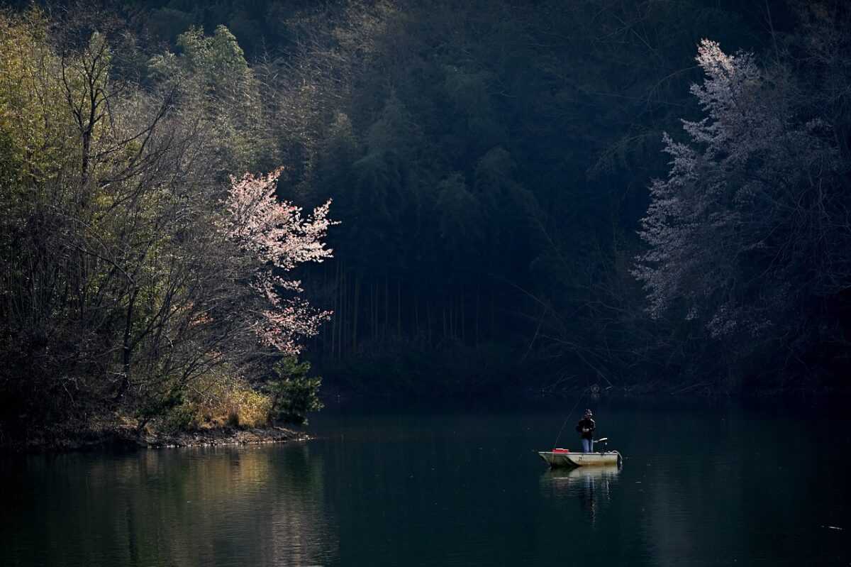 pond 4109750 1280