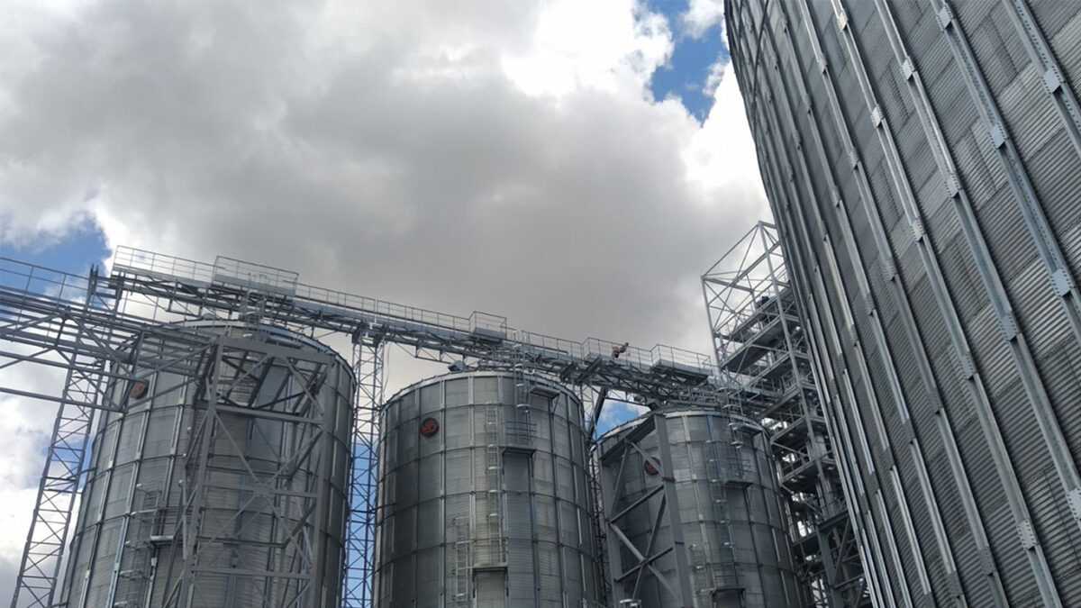 Volitsya Agro 1