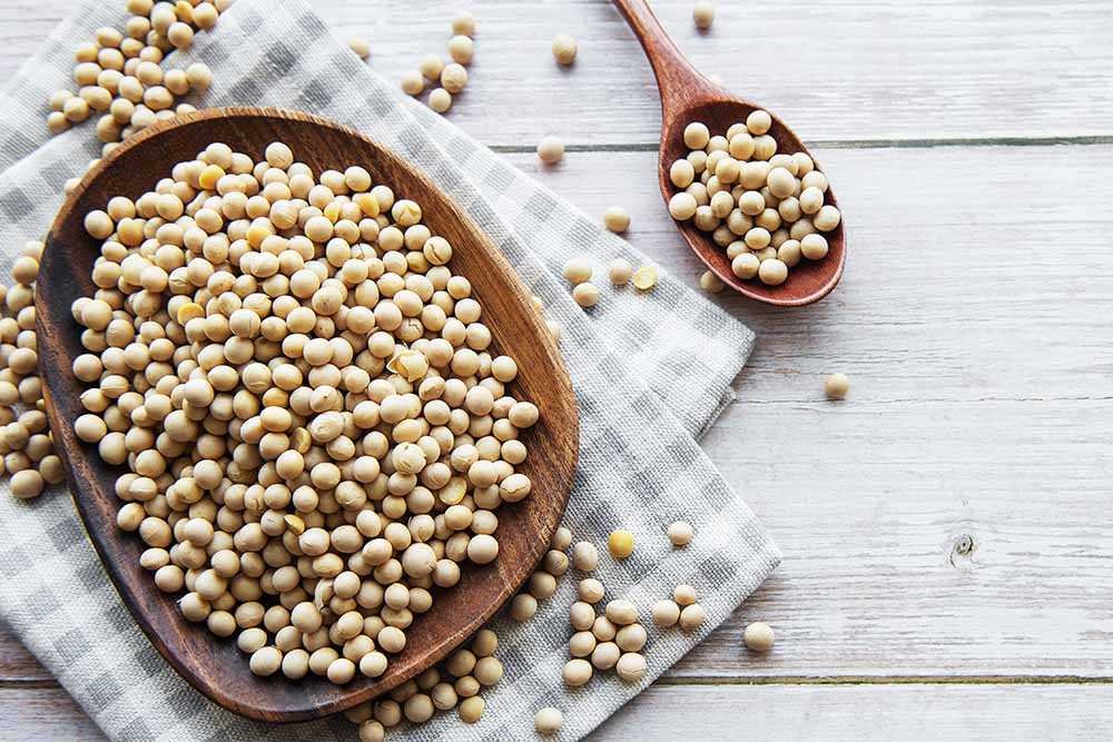 Soybeans on a wooden plate