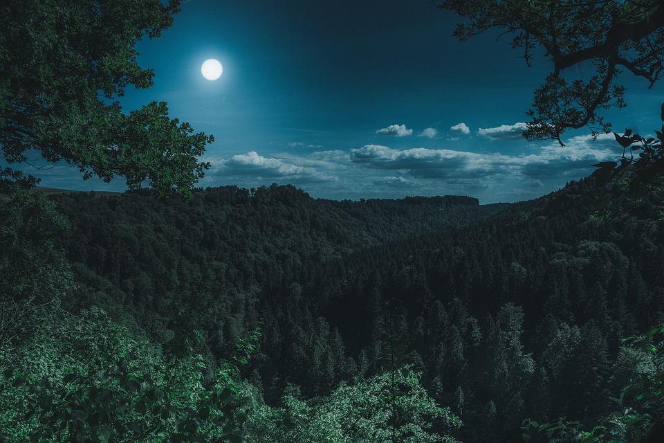 nature 3194001 960 720