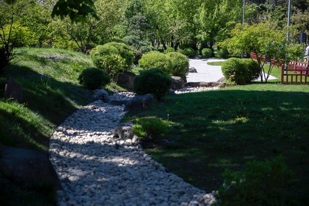 photo 2024 05 05 12 52 03