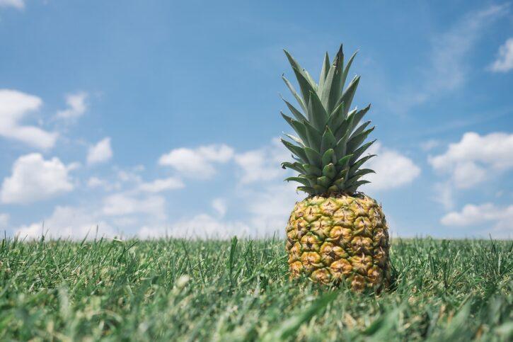 pineapple 867245 1280