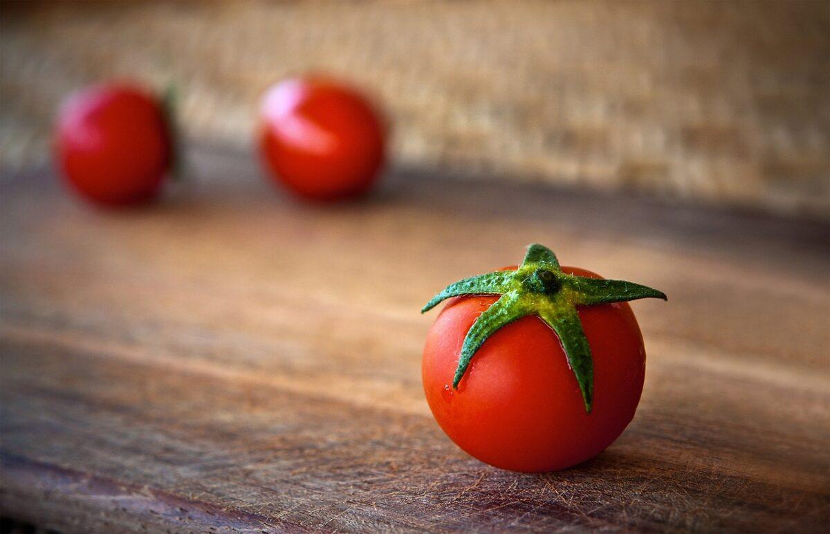 tomato 1205699 1280