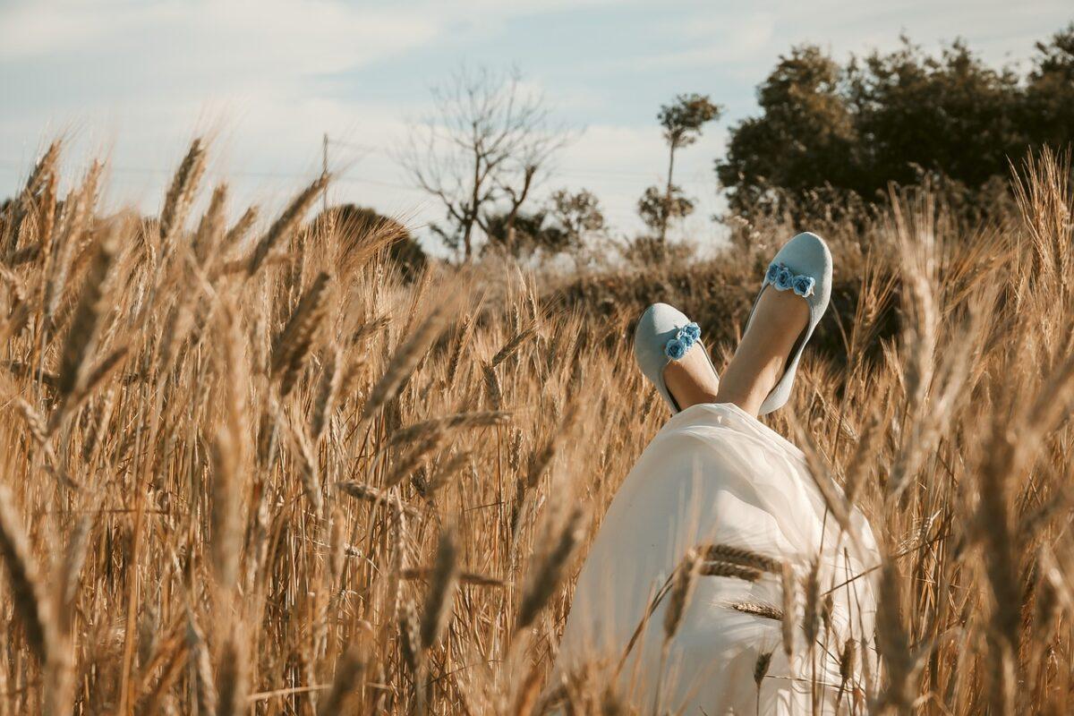 wheat field 6392428 1280