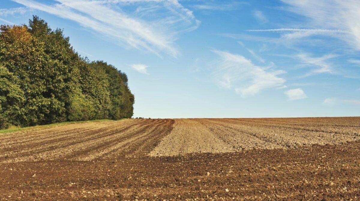 arable 1918990 1920 680x380@2x