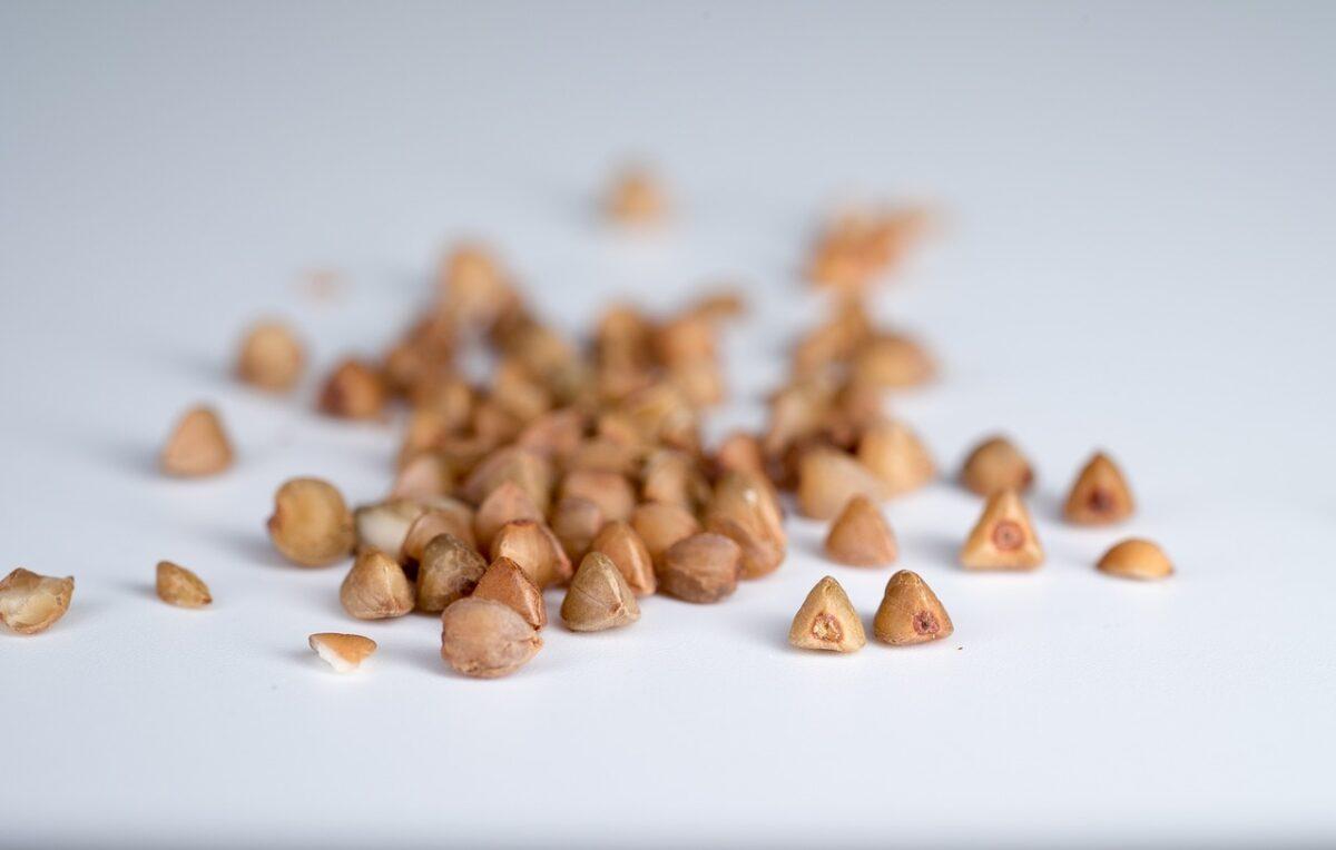 buckwheat 1835998 1280