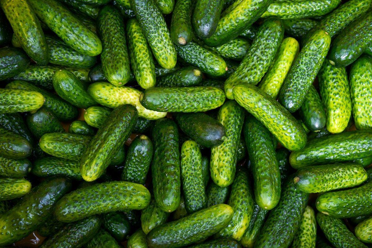 cucumber 5453364 1280