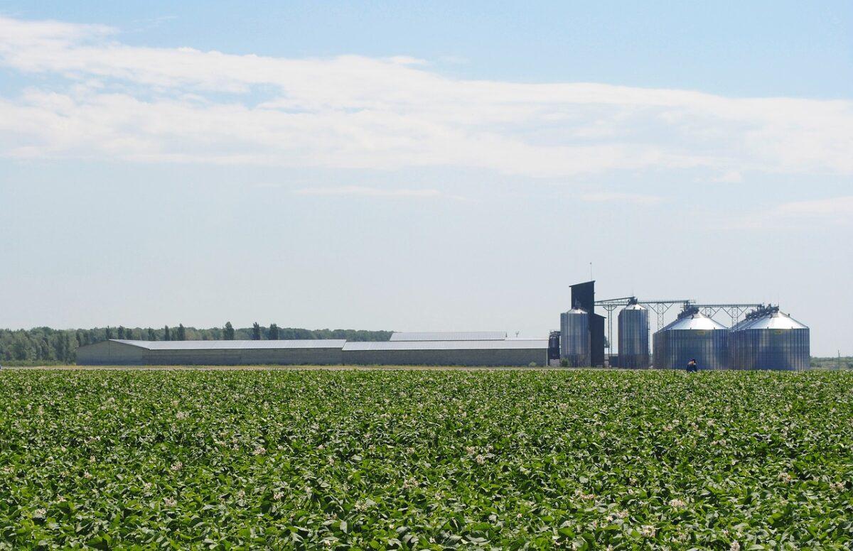 field 2692706 1280