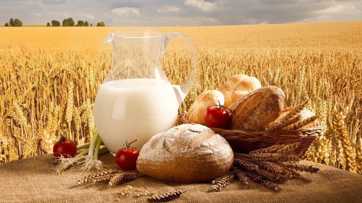 krayiny g7 ta oon povnistyu pidtrymuyut stvorennya ukrayinoyu novyh lancyuzhkiv zbutu sg produkciyi