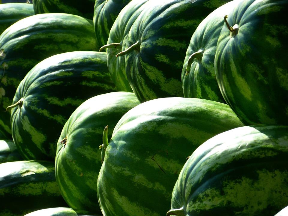 melons 197025 960 720