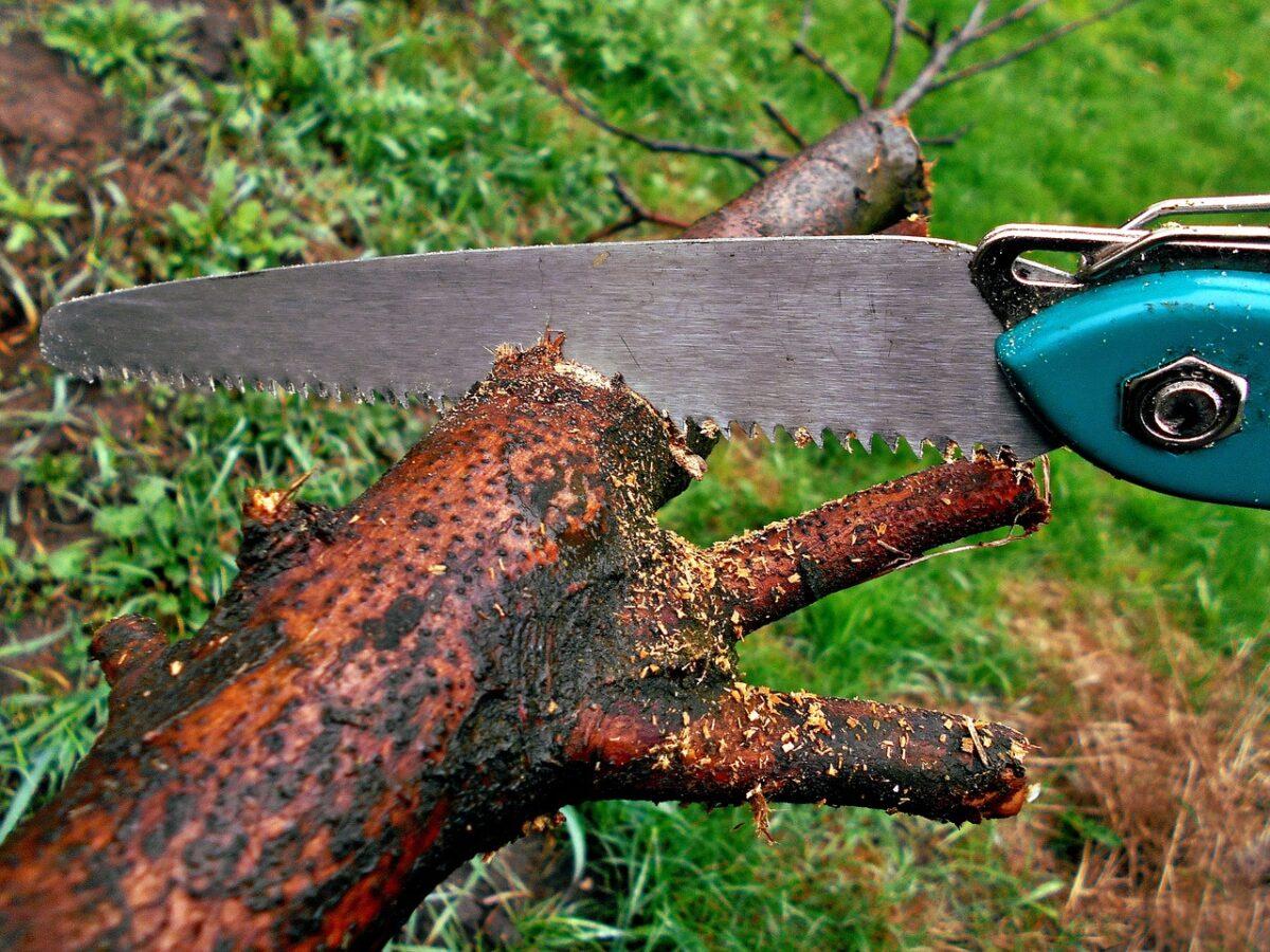 sawing 1318871 1280
