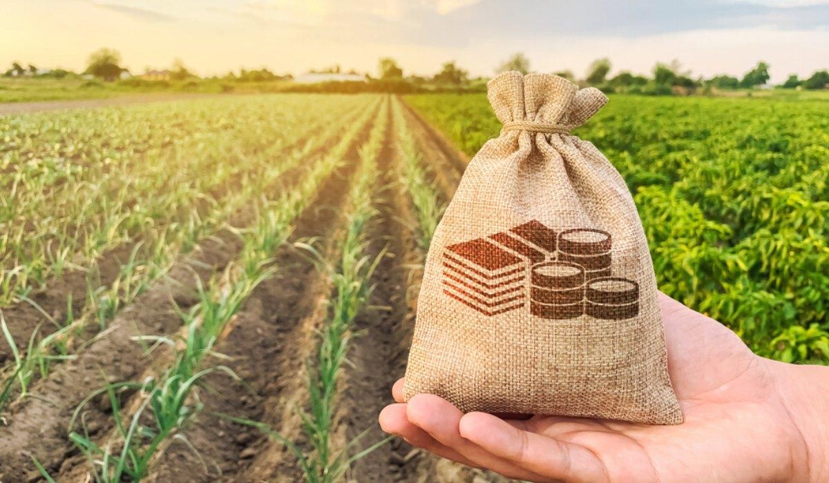 The Cabinet of Ministers Plans to Introduce a New Land Tax1
