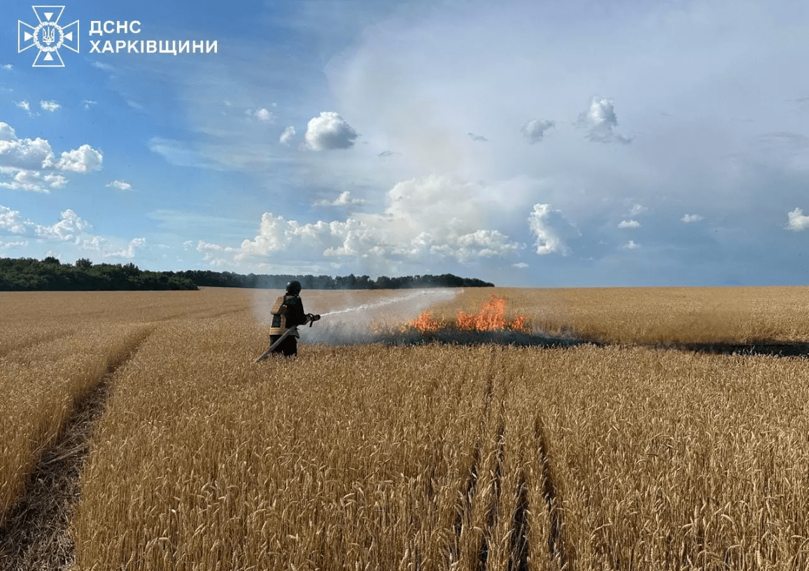 Знімок екрана 2024 07 02 105233