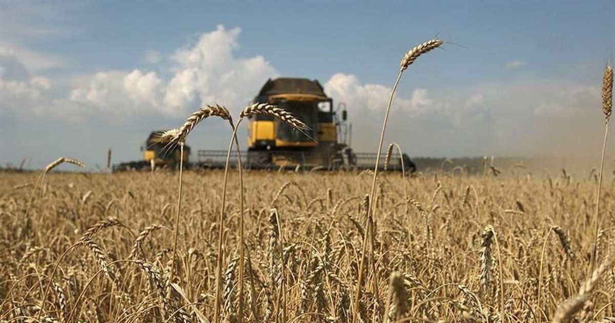 Можливі локальні дощі: якою буде погода в Україні 6 серпня