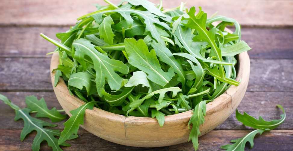 bw arugula history 973x500