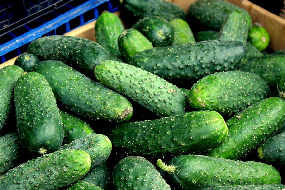 cucumbers 7258277 1280