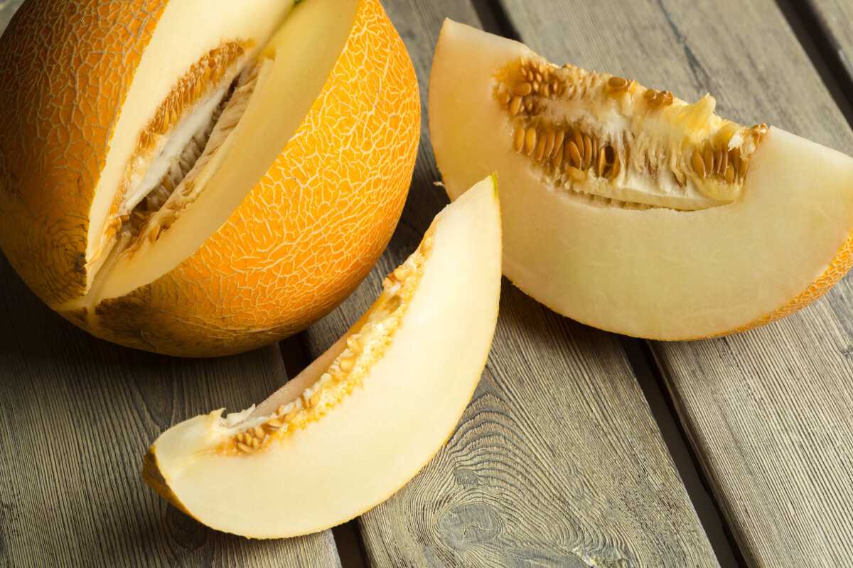 melon on table