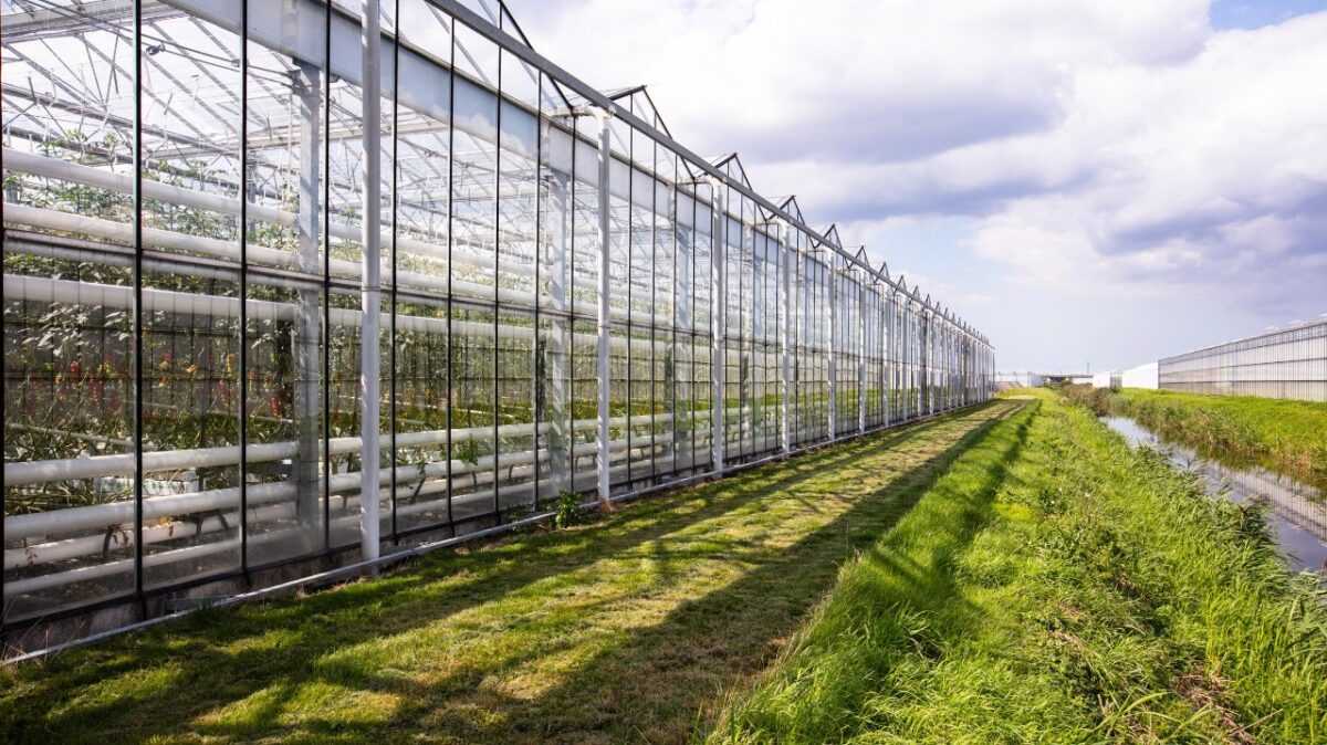 glasshouse module2 21 bvs