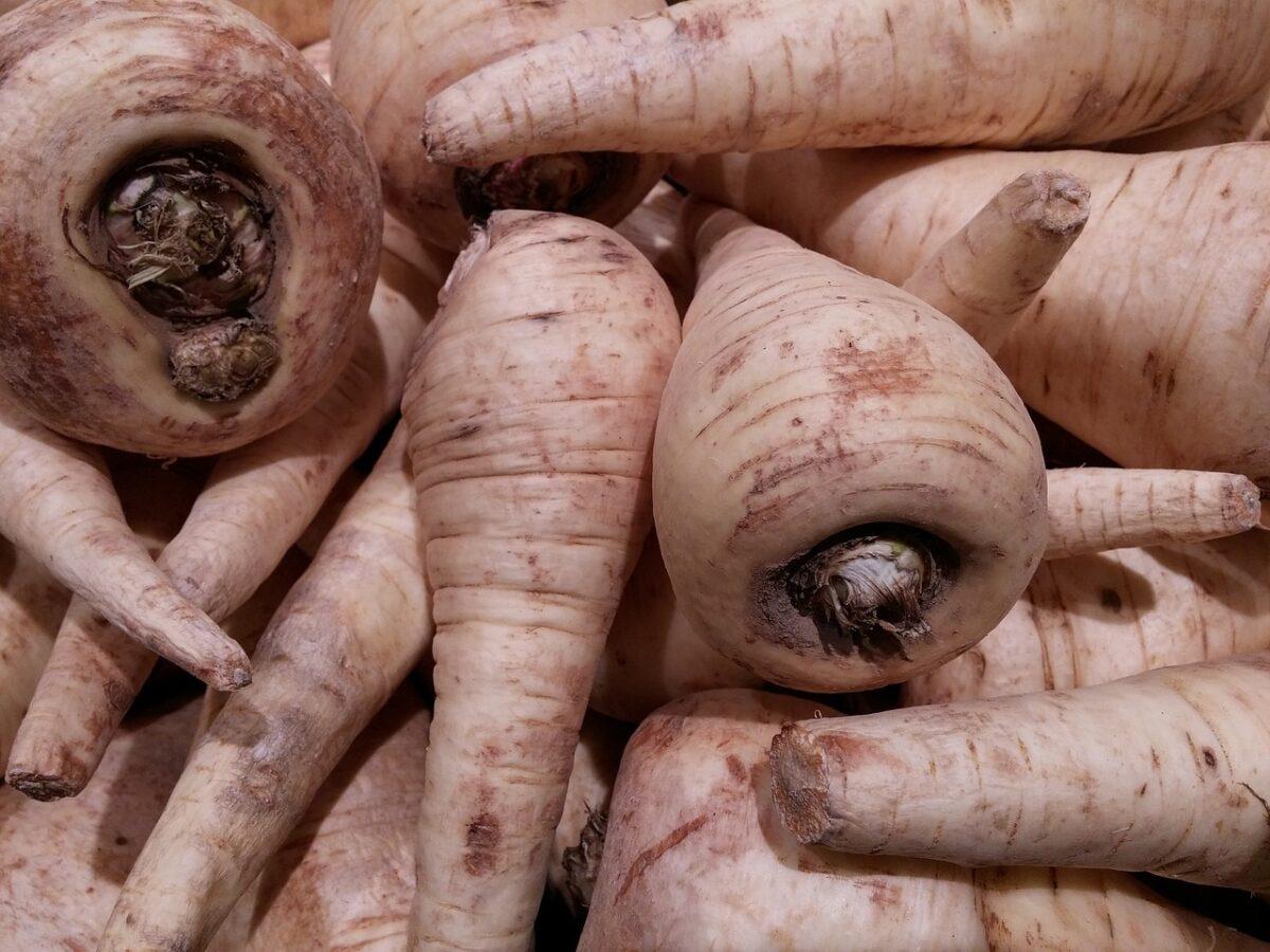 parsnips 2111592 1280