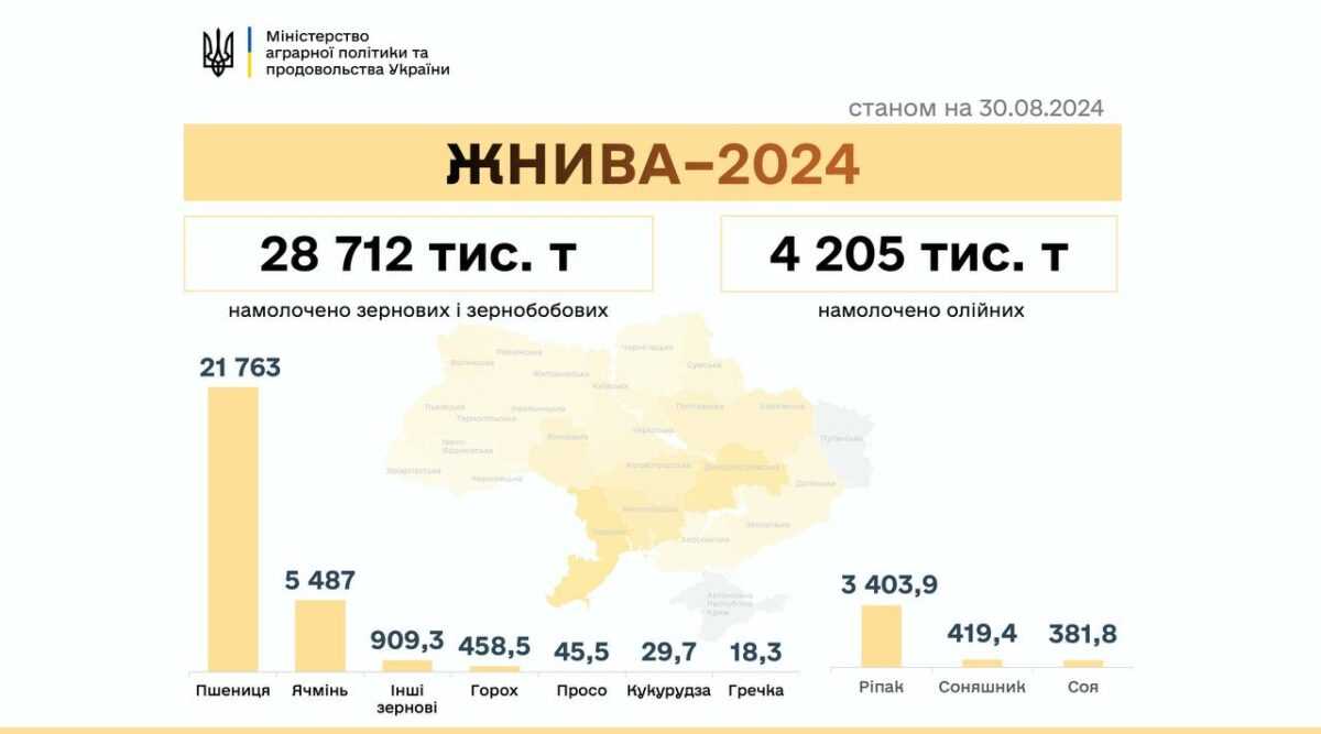 В Україні розпочали збирати кукурудзу