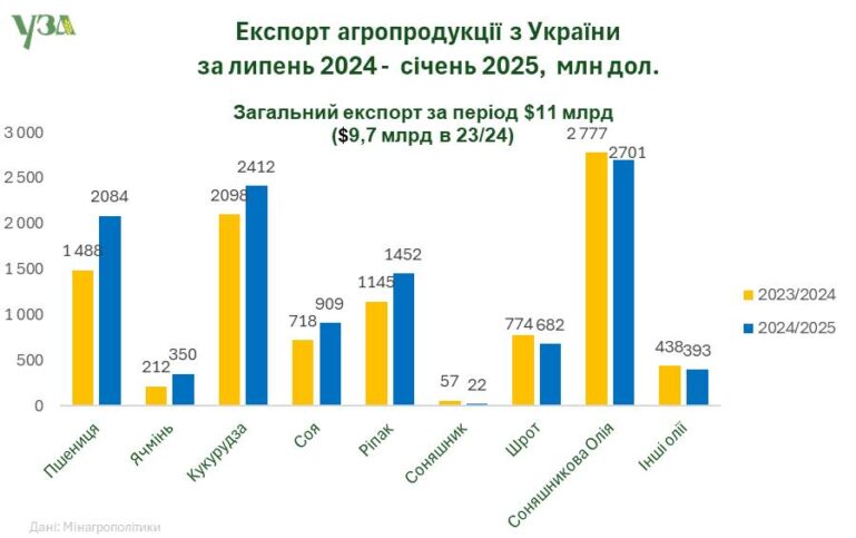 Україна наростила експорт зернових та олійних до $11 млрд за 7 місяців 2024/25 МР